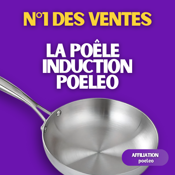 alternative-poele