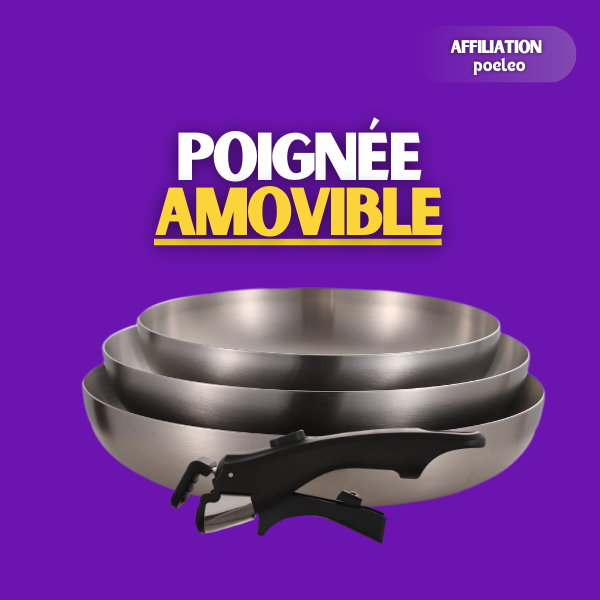 poignee-amovible